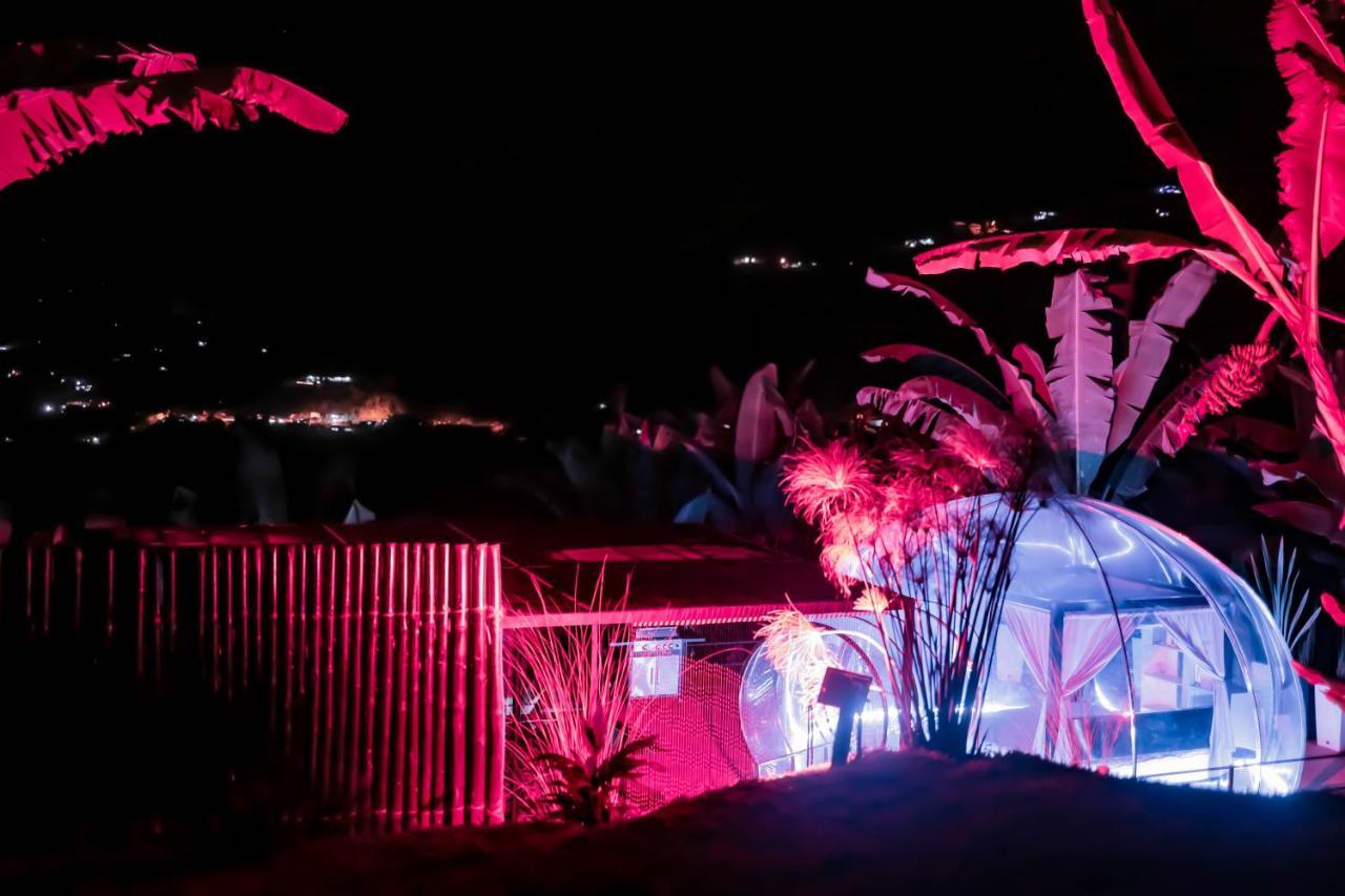הוילה מניזאלס Chami Glamping מראה חיצוני תמונה
