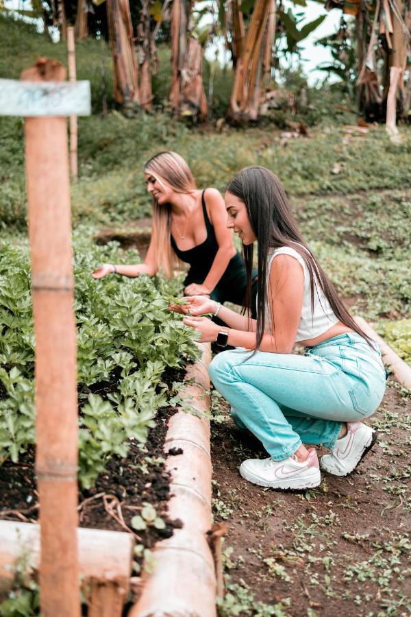 הוילה מניזאלס Chami Glamping מראה חיצוני תמונה