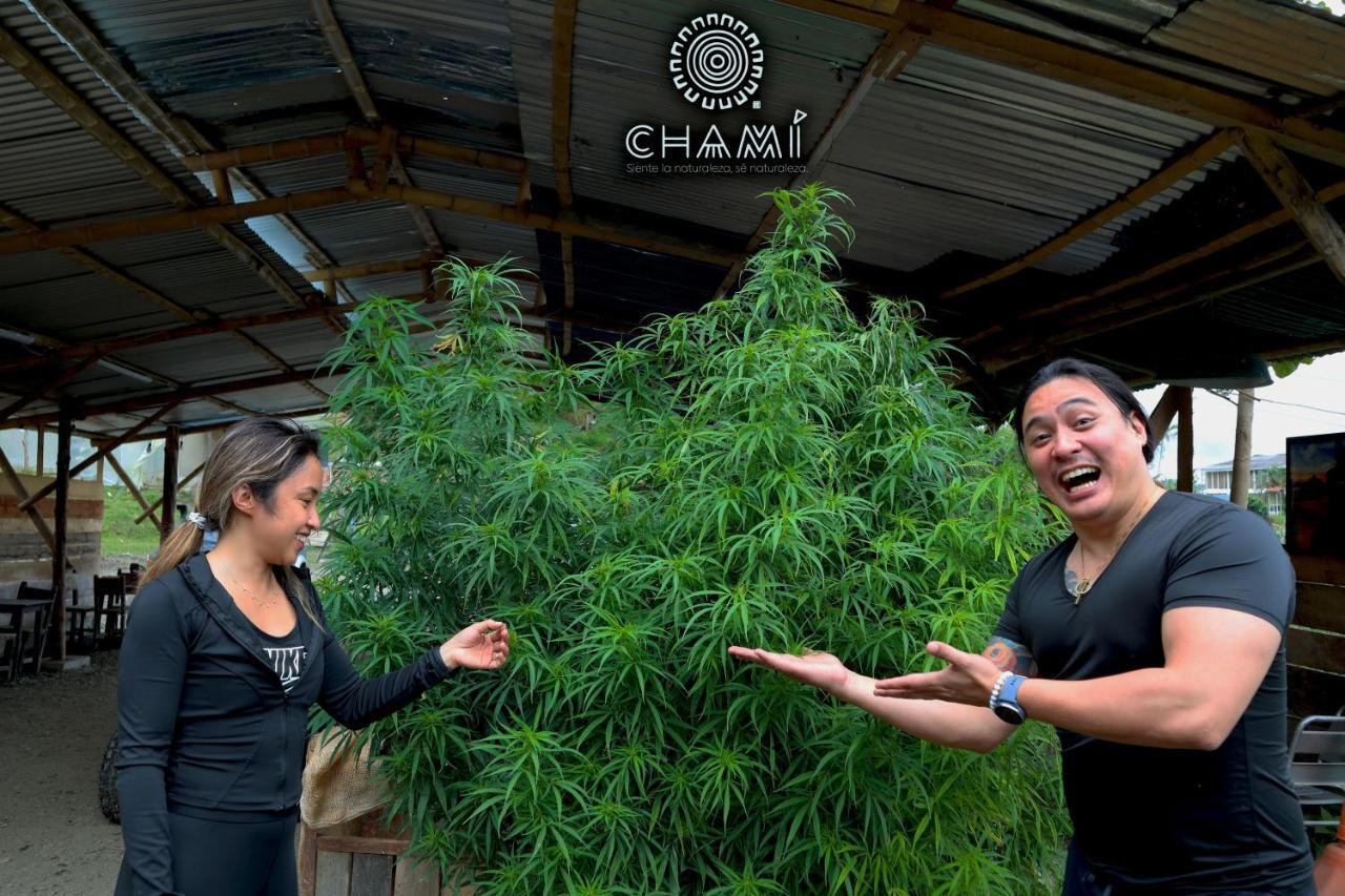 הוילה מניזאלס Chami Glamping מראה חיצוני תמונה