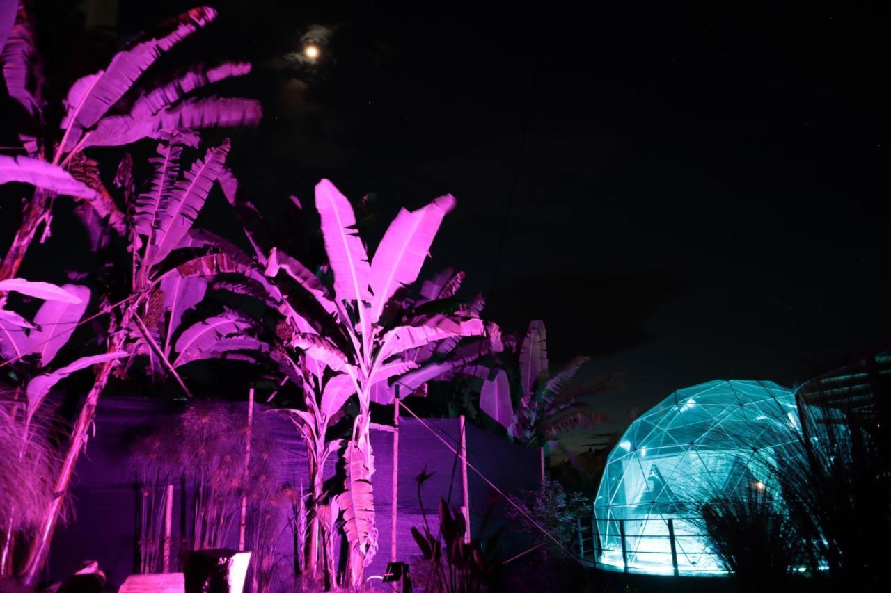 הוילה מניזאלס Chami Glamping מראה חיצוני תמונה
