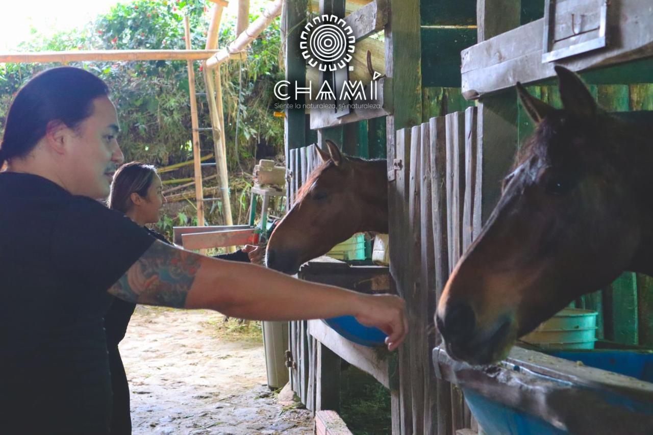 הוילה מניזאלס Chami Glamping מראה חיצוני תמונה