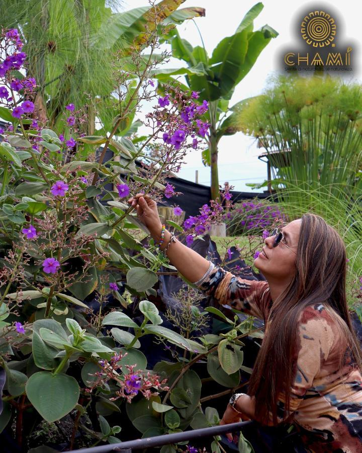הוילה מניזאלס Chami Glamping מראה חיצוני תמונה